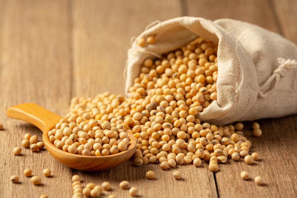 soybean for soybean meal