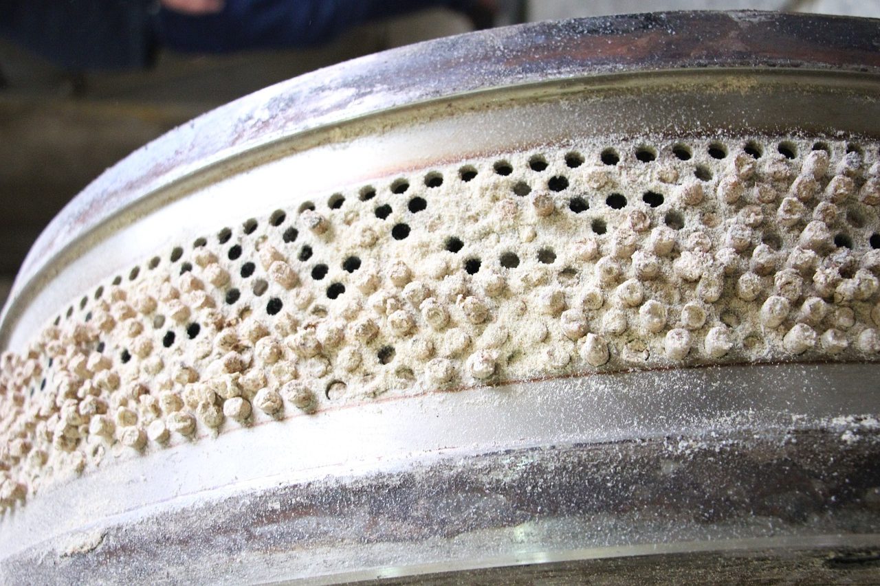 Feed Formulation Controls Pellet Quality - FeedBiz Vision